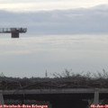 09_10-mast.jpg