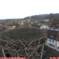 09_10-nest.jpg