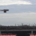 09_15-mast.jpg