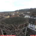 09_15-nest.jpg