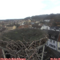 09_20-nest.jpg