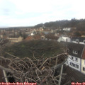 09_30-nest.jpg