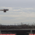 09_35-mast.jpg
