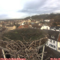 09_35-nest.jpg