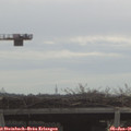 09_40-mast.jpg