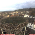 09_55-nest.jpg