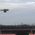 10_05-mast.jpg