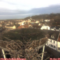 10_05-nest.jpg