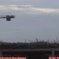 10_10-mast.jpg