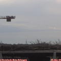 10_30-mast.jpg