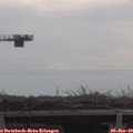 10_35-mast.jpg