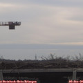 10_40-mast.jpg