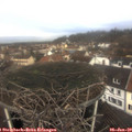 10_45-nest.jpg