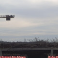 10_50-mast.jpg