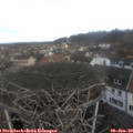 10_55-nest.jpg