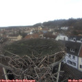 11_00-nest.jpg