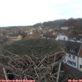 11_05-nest.jpg