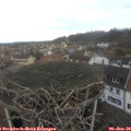 11_15-nest.jpg