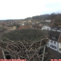 11_25-nest.jpg