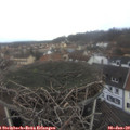 11_35-nest.jpg