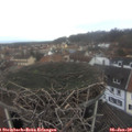 11_40-nest.jpg