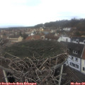 11_45-nest.jpg