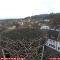 11_50-nest.jpg