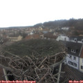 12_05-nest.jpg