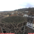 12_35-nest.jpg