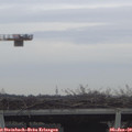 12_40-mast.jpg