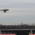 12_45-mast.jpg