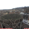 12_45-nest.jpg
