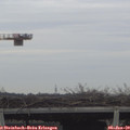 12_50-mast.jpg