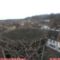 12_50-nest.jpg