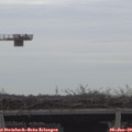 12_55-mast.jpg