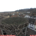 13_05-nest.jpg