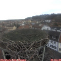 13_10-nest.jpg