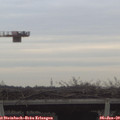 13_15-mast.jpg