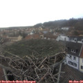 13_15-nest.jpg