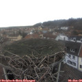 13_20-nest.jpg