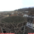 13_30-nest.jpg
