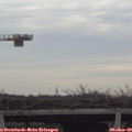 13_35-mast.jpg