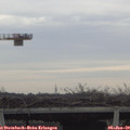 13_40-mast.jpg