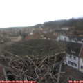 13_40-nest.jpg