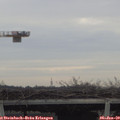 13_45-mast.jpg