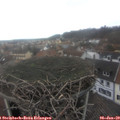 13_45-nest.jpg