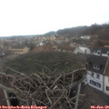 13_50-nest.jpg