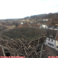 13_55-nest.jpg