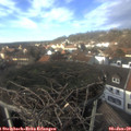 14_00-nest.jpg