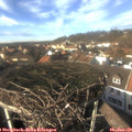 14_05-nest.jpg